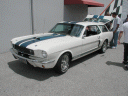 [thumbnail of Ford Shelby GT350 Station Wagon - FVL.jpg]